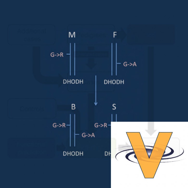VAAST - an application from the Yandell Lab
