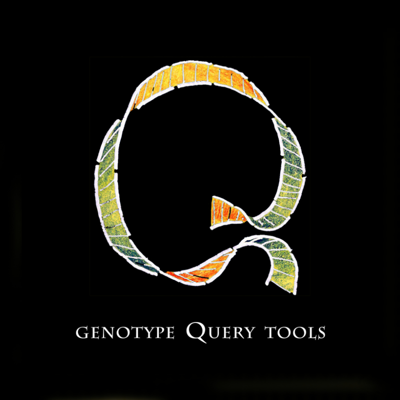 Genotype Query Tools - GQT