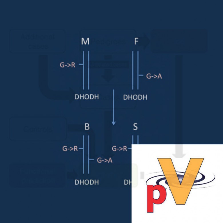 VAAST - A Probabilistic Disease-Gene Finder For Personal Genomes