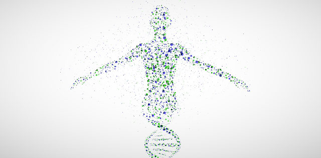 Understanding Genomes